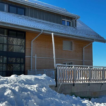 Feldberg Apartment - Direkt An Der Skipiste - Mit Sauna Eksteriør billede