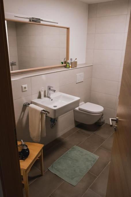 Feldberg Apartment - Direkt An Der Skipiste - Mit Sauna Eksteriør billede