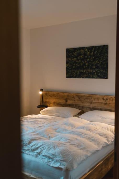 Feldberg Apartment - Direkt An Der Skipiste - Mit Sauna Eksteriør billede