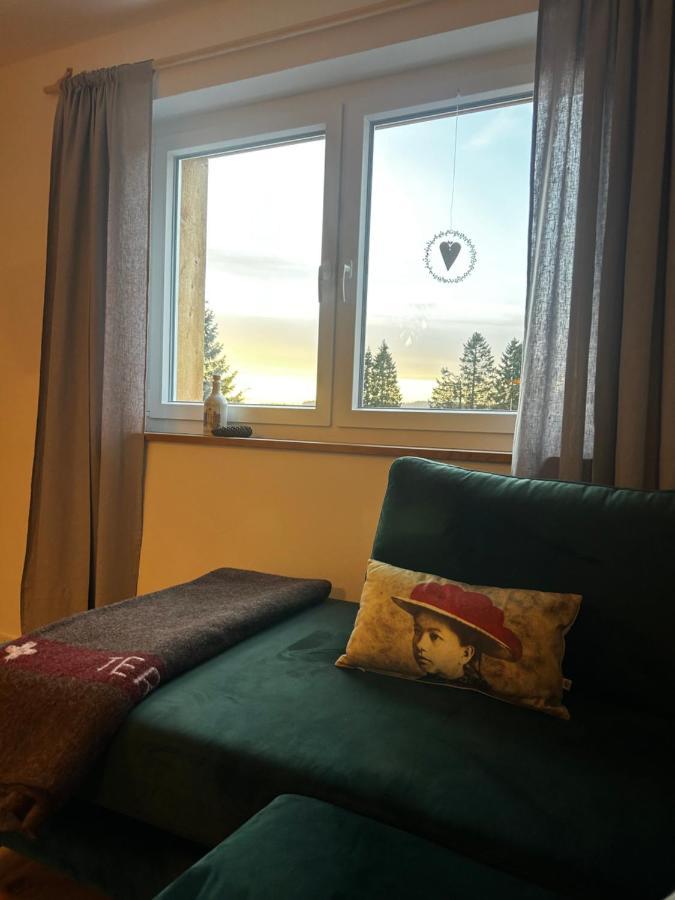 Feldberg Apartment - Direkt An Der Skipiste - Mit Sauna Eksteriør billede