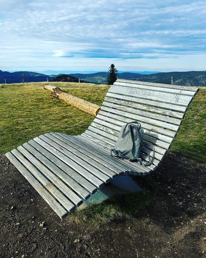 Feldberg Apartment - Direkt An Der Skipiste - Mit Sauna Eksteriør billede