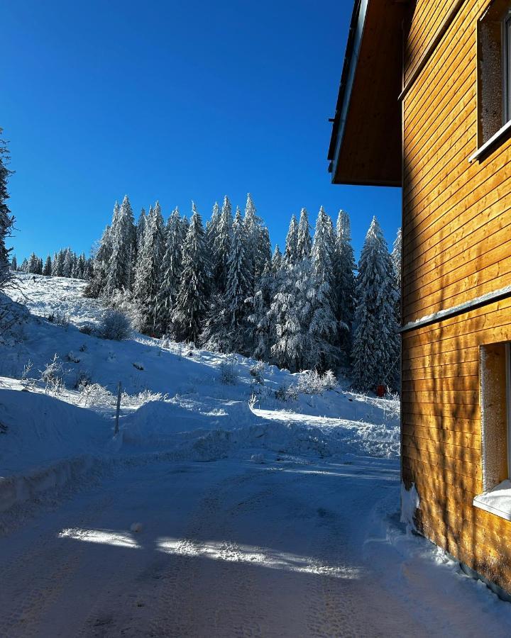 Feldberg Apartment - Direkt An Der Skipiste - Mit Sauna Eksteriør billede