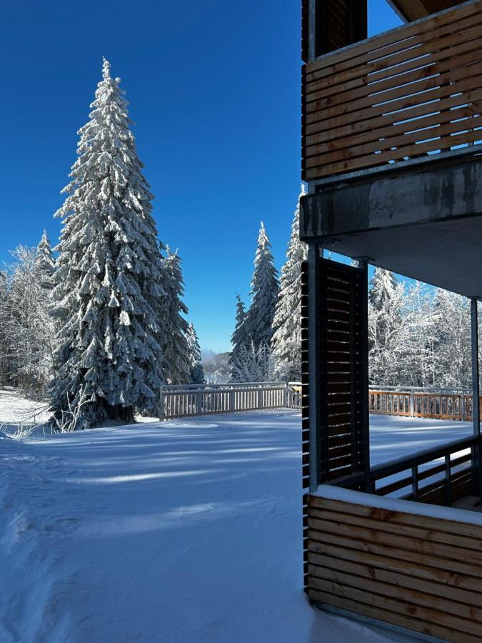 Feldberg Apartment - Direkt An Der Skipiste - Mit Sauna Eksteriør billede