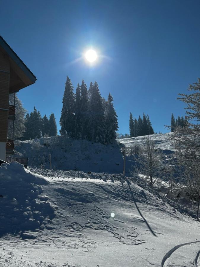 Feldberg Apartment - Direkt An Der Skipiste - Mit Sauna Eksteriør billede