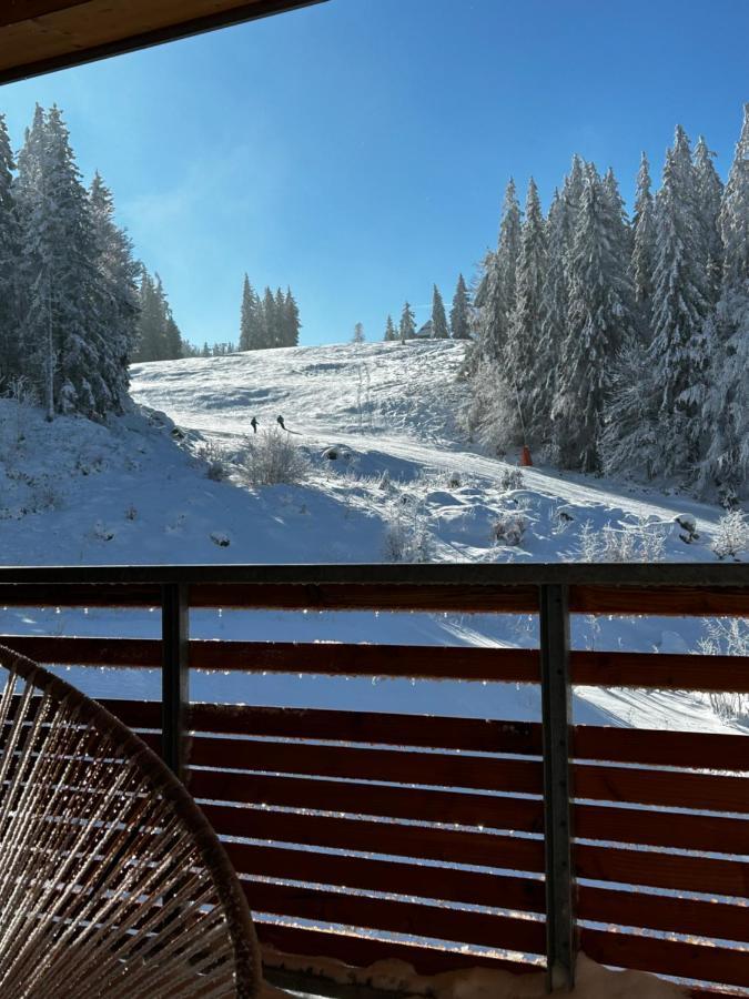 Feldberg Apartment - Direkt An Der Skipiste - Mit Sauna Eksteriør billede